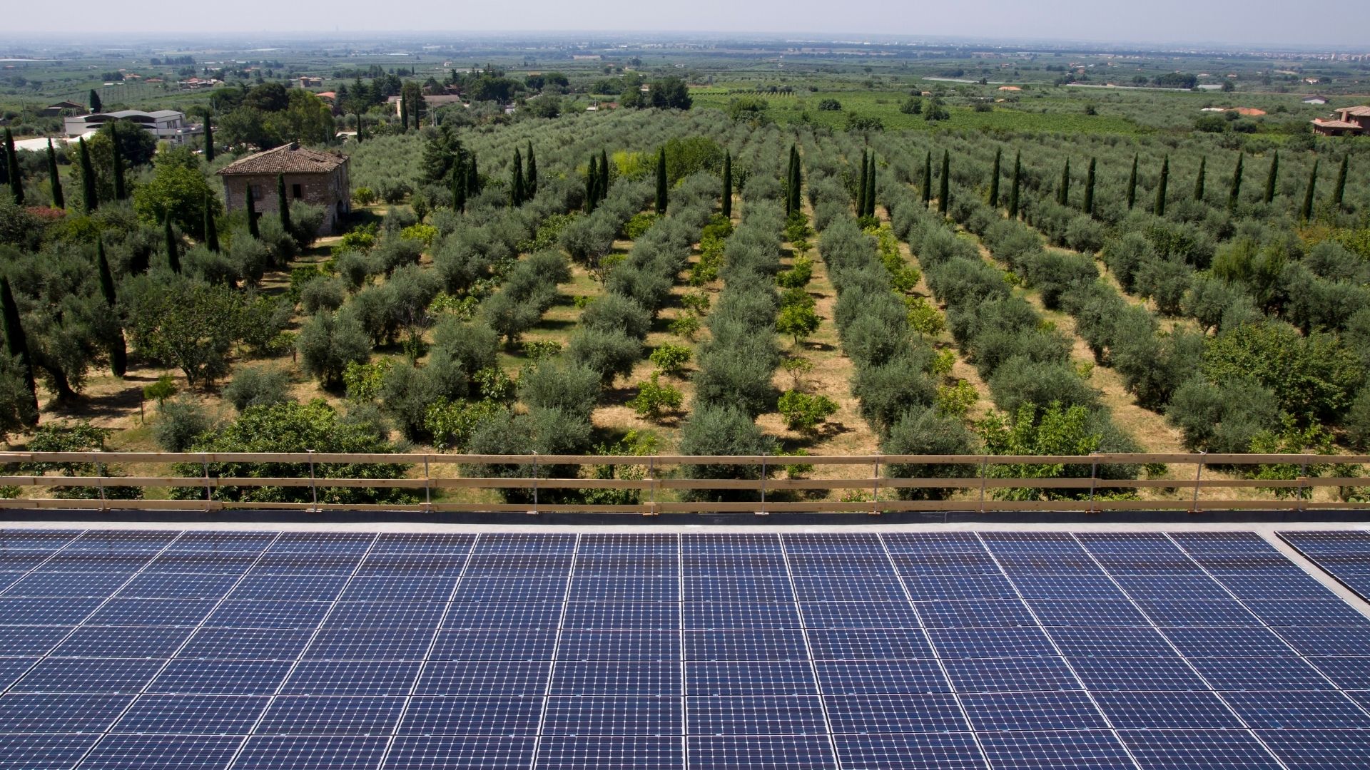 Sostenibilità in agricoltura: una scelta sulla quale puntare.